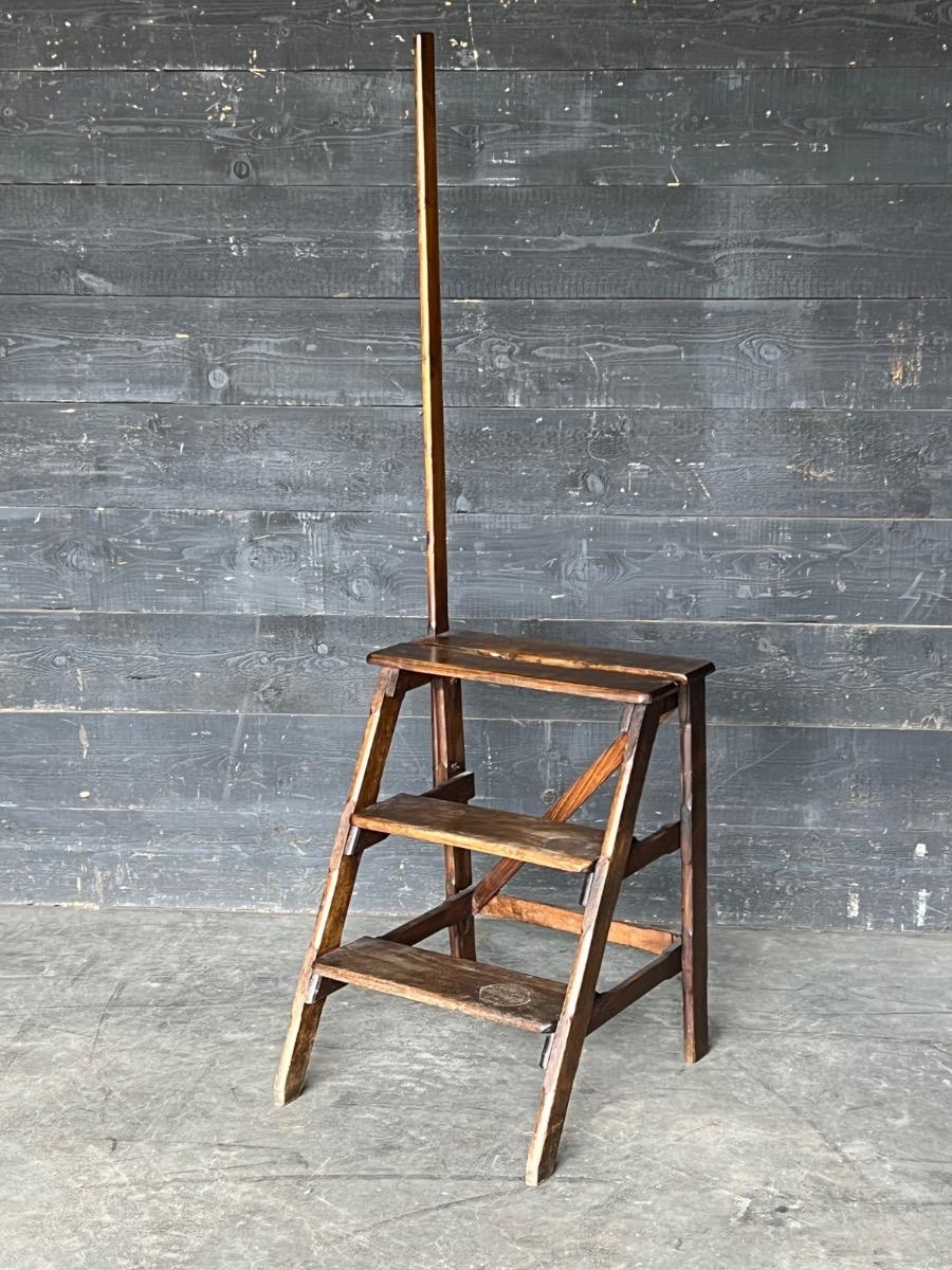 Antique library ladder 