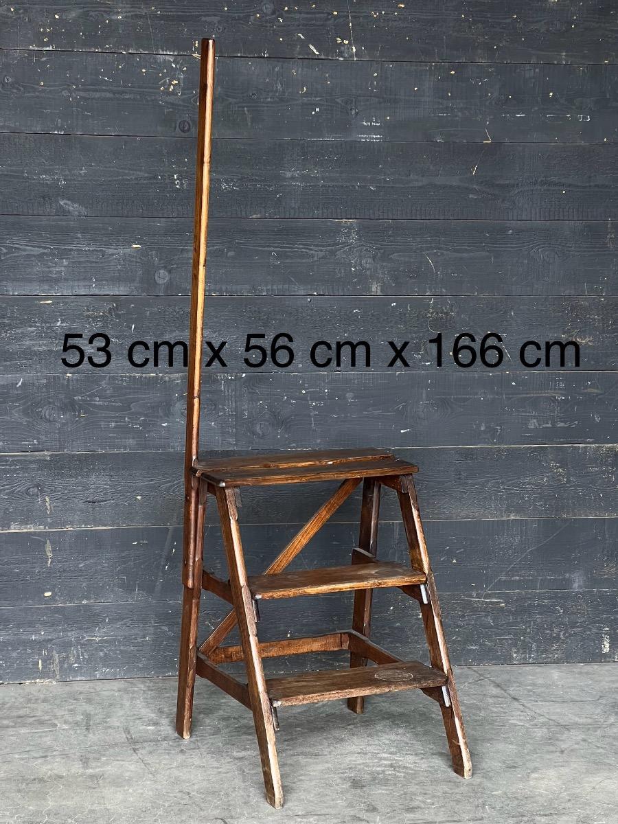 Antique library ladder 