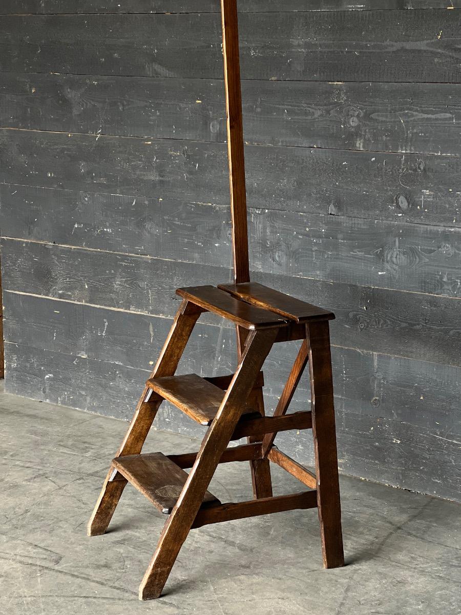 Antique library ladder 
