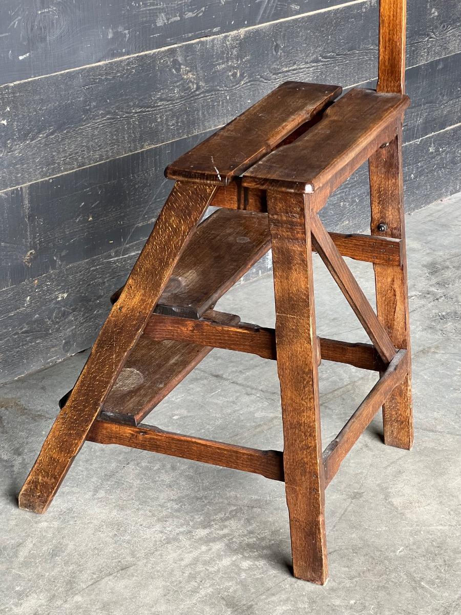 Antique library ladder 