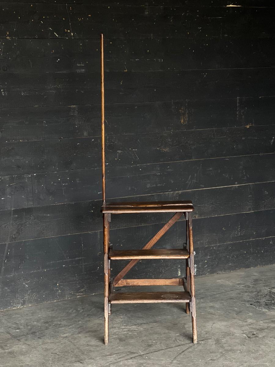 Antique library ladder 