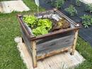 Bacs de curé pour le jardin