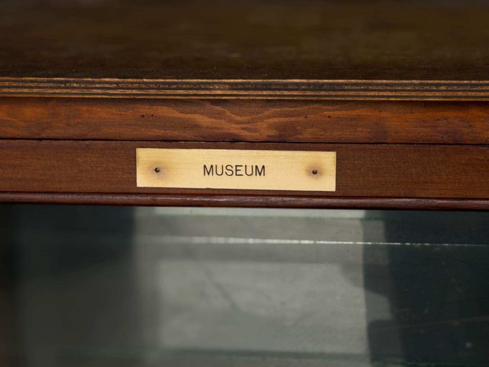 Little museum display cabinet