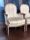 Série de 4 bergères  style Louis XVI  France 1900