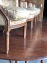 Série de 4 bergères  style Louis XVI  France 1900