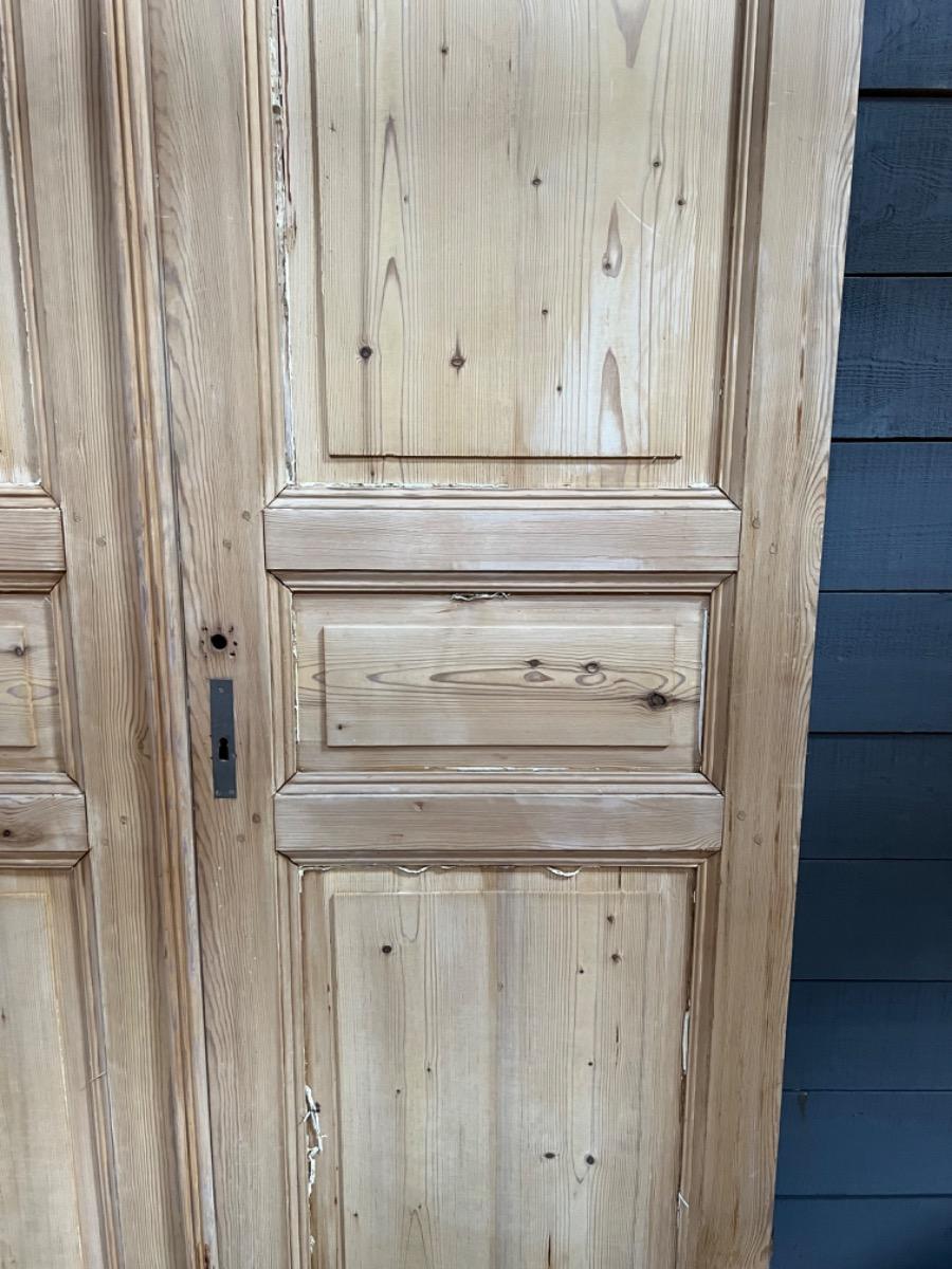 Pair of antique doors