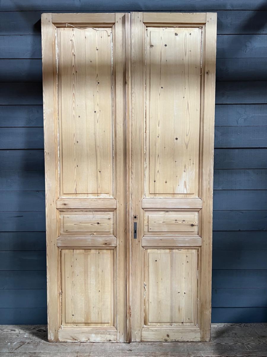 Pair of antique doors