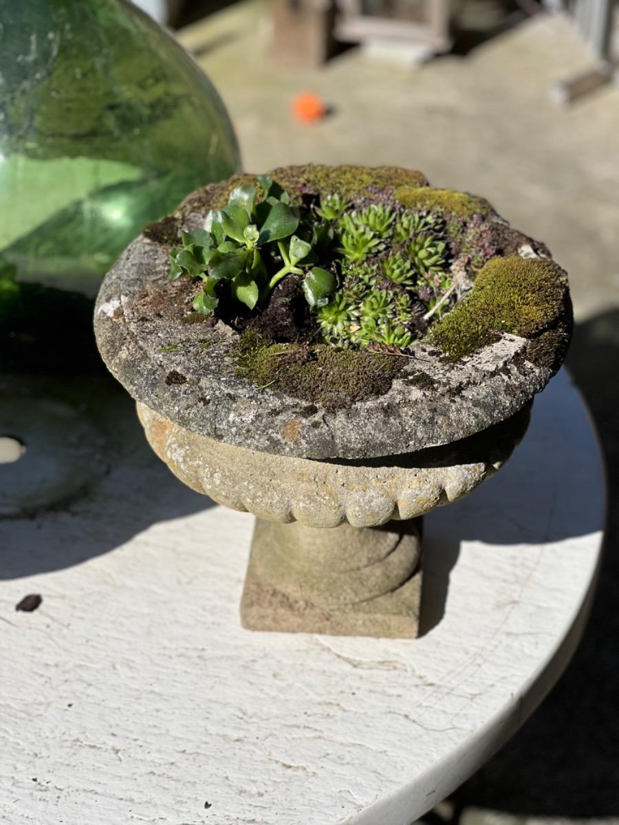 Pair of concrete garden planters 