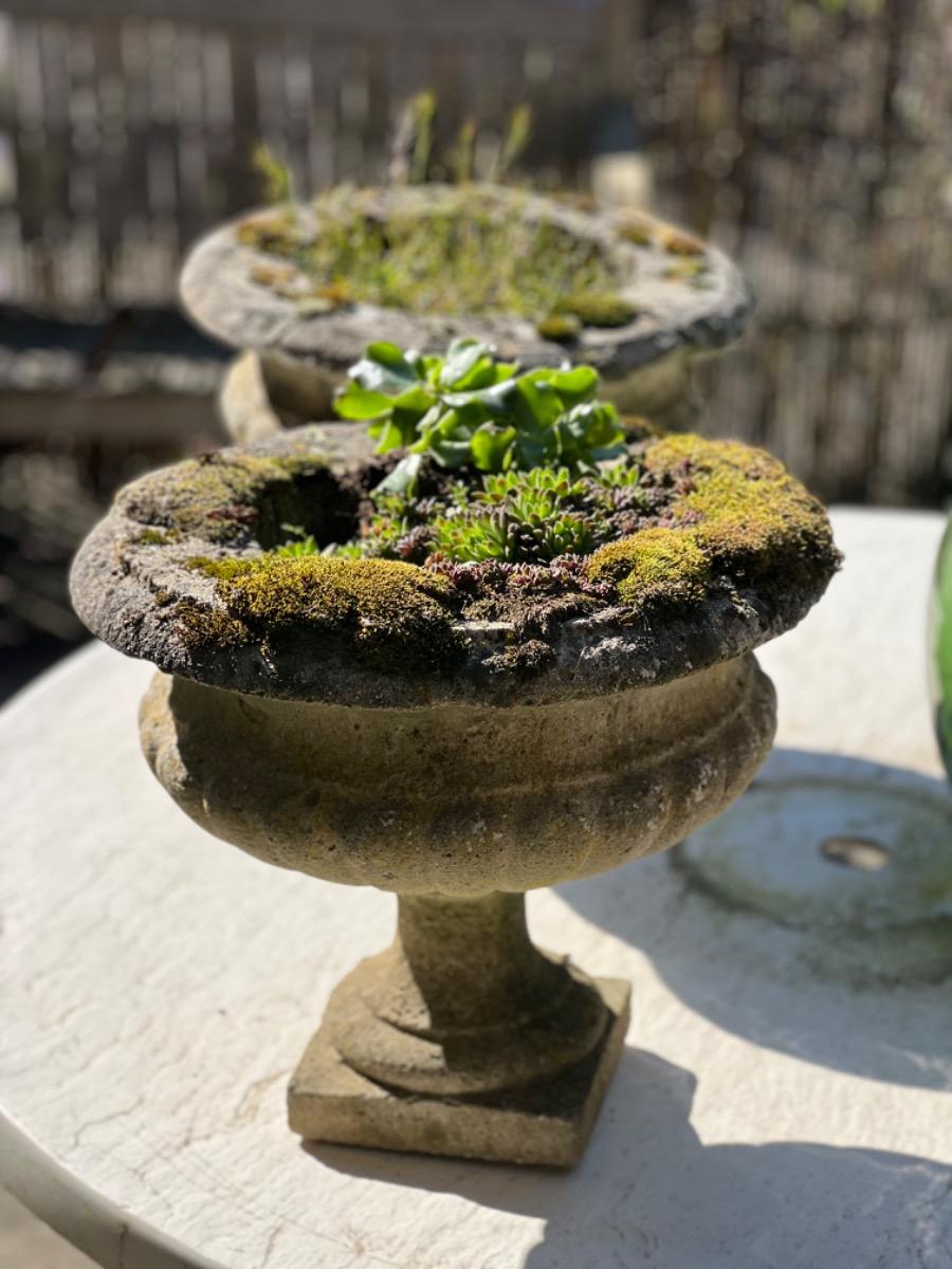 Pair of concrete garden planters 