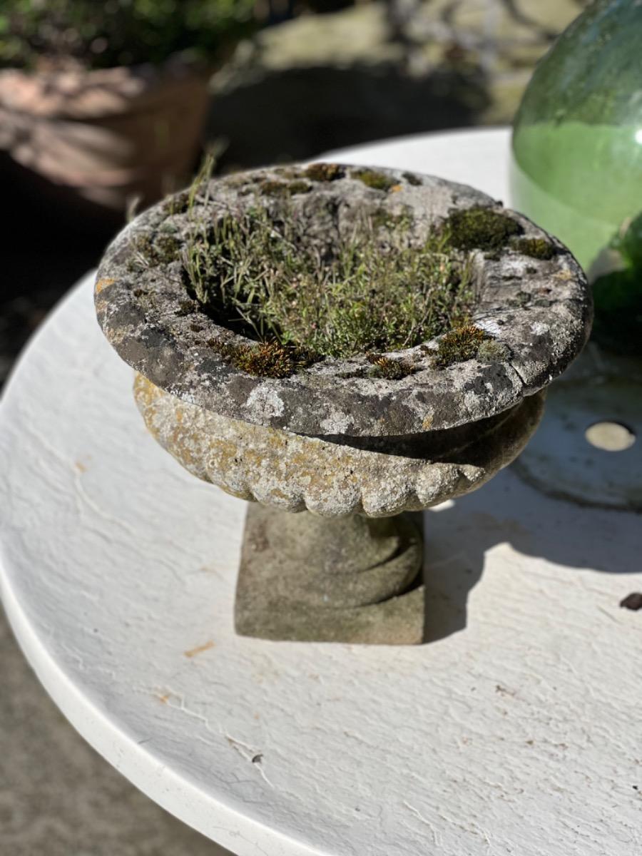 Pair of concrete garden planters 