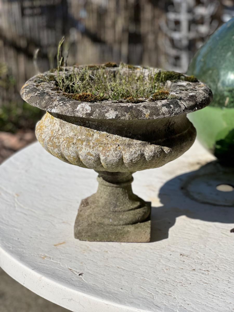 Pair of concrete garden planters 