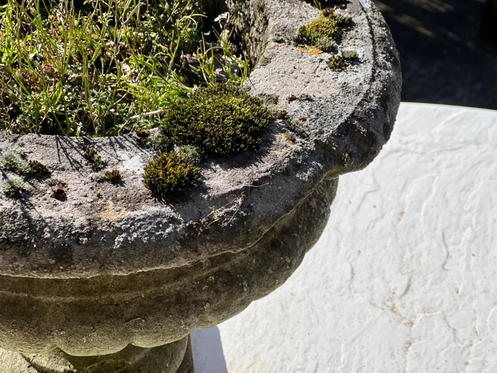 Pair of concrete garden planters 