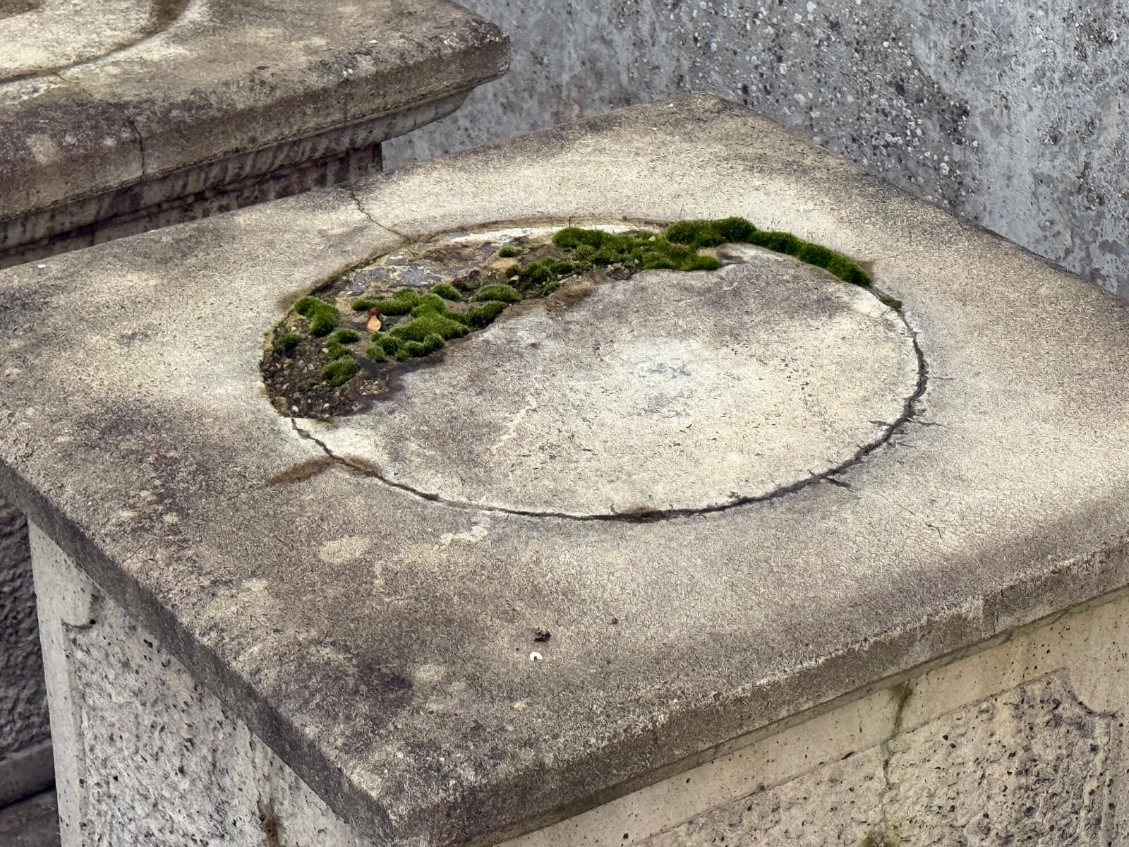 Pair of concrete pedestals 