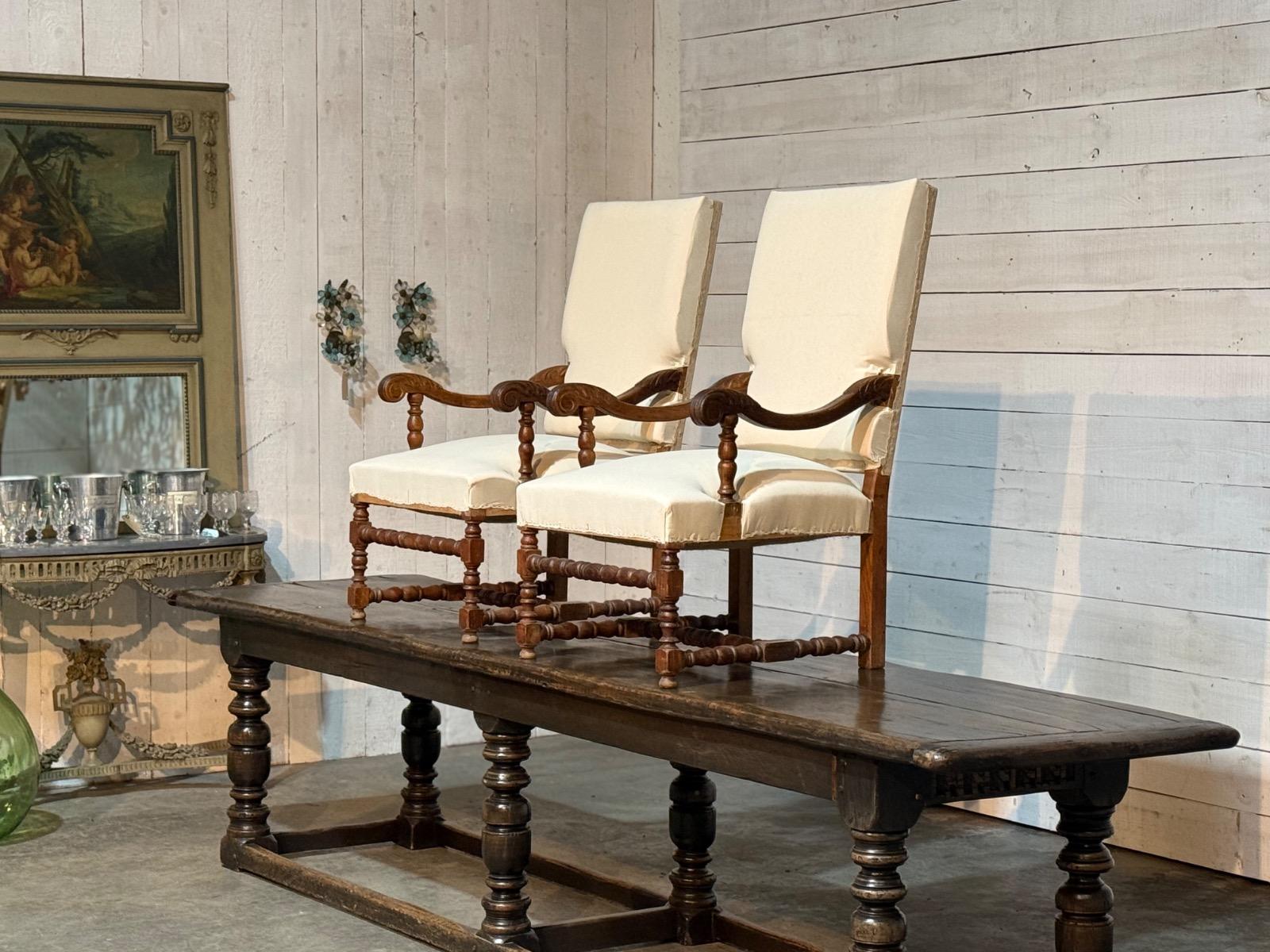 Pair of french rustic armchairs 