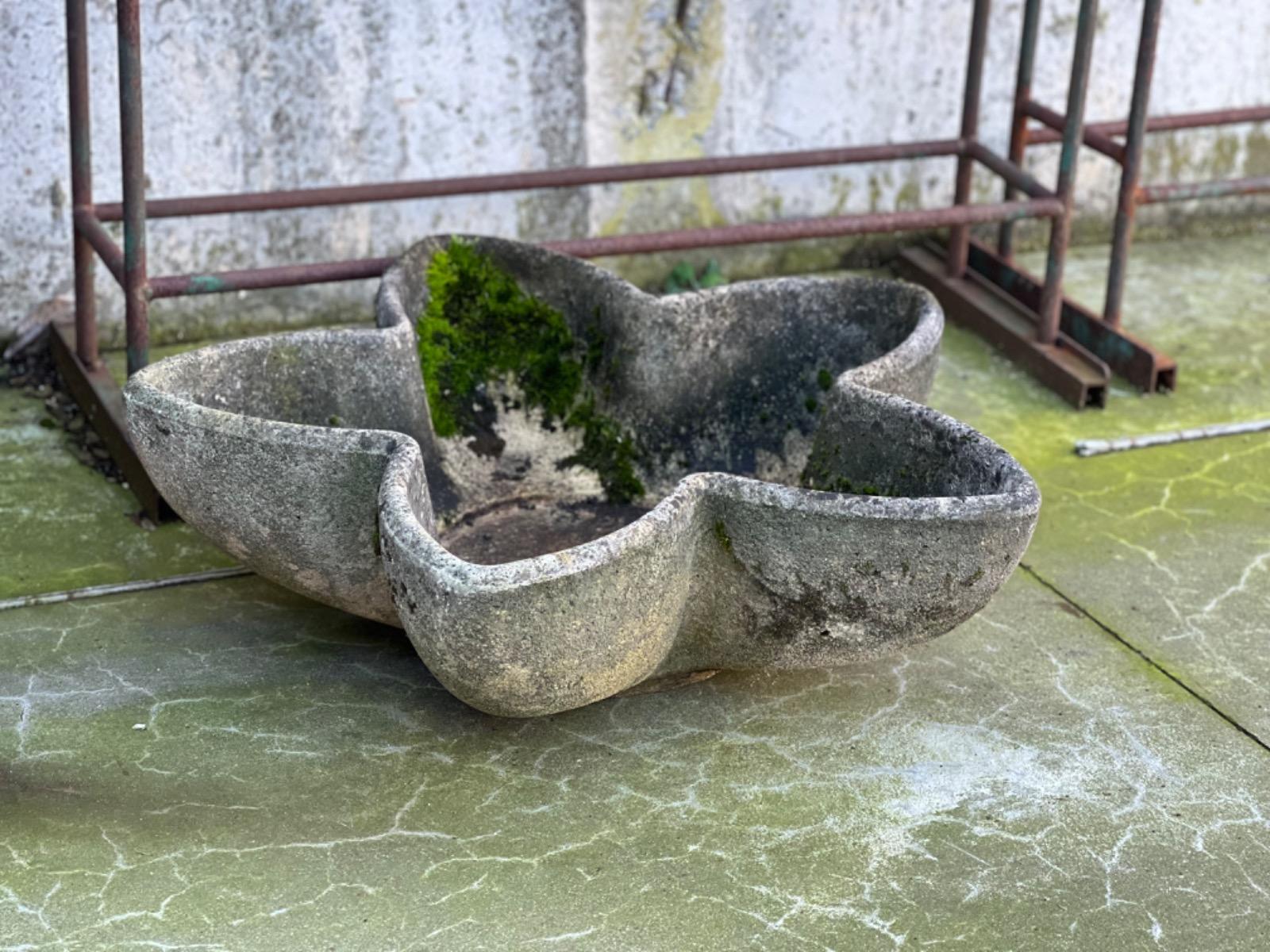 Unusual concrete planter 